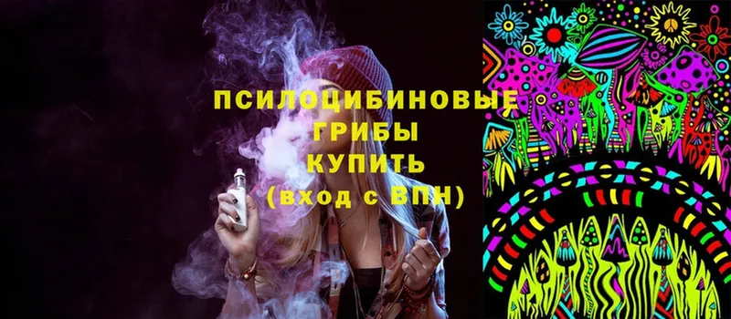 Галлюциногенные грибы MAGIC MUSHROOMS  Зверево 